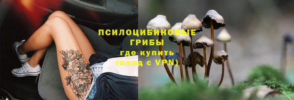 COCAINE Горно-Алтайск