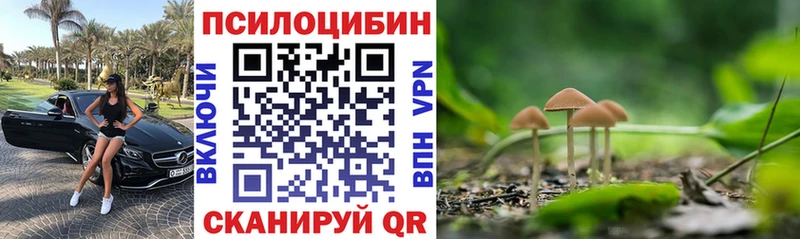 Галлюциногенные грибы GOLDEN TEACHER  Невельск 
